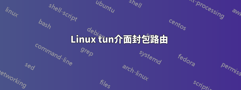 Linux tun介面封包路由