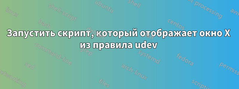 Запустить скрипт, который отображает окно X из правила udev