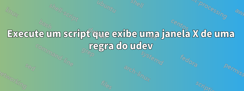 Execute um script que exibe uma janela X de uma regra do udev