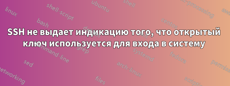 SSH не выдает индикацию того, что открытый ключ используется для входа в систему