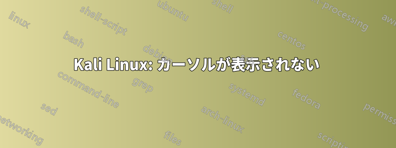 Kali Linux: カーソルが表示されない