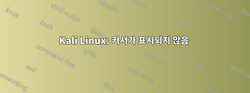 Kali Linux: 커서가 표시되지 않음