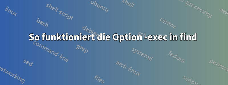 So funktioniert die Option -exec in find