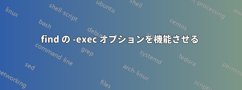 find の -exec オプションを機能させる