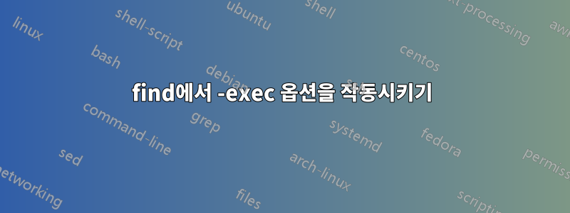 find에서 -exec 옵션을 작동시키기