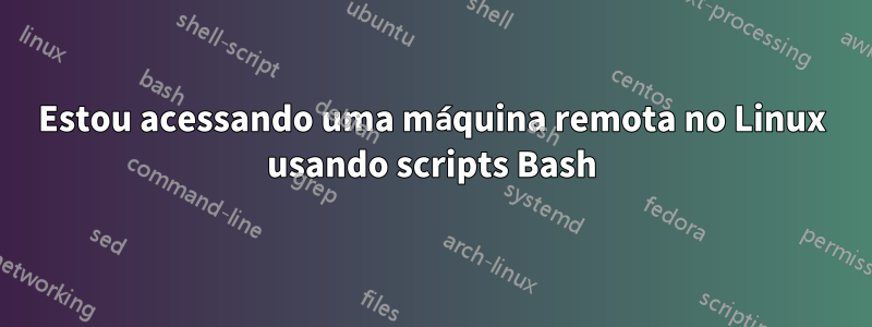 Estou acessando uma máquina remota no Linux usando scripts Bash