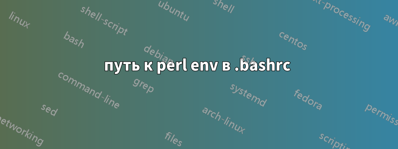 путь к perl env в .bashrc