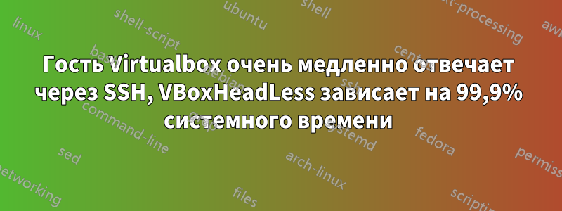 Гость Virtualbox очень медленно отвечает через SSH, VBoxHeadLess зависает на 99,9% системного времени