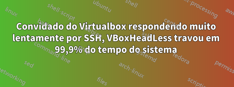 Convidado do Virtualbox respondendo muito lentamente por SSH, VBoxHeadLess travou em 99,9% do tempo do sistema