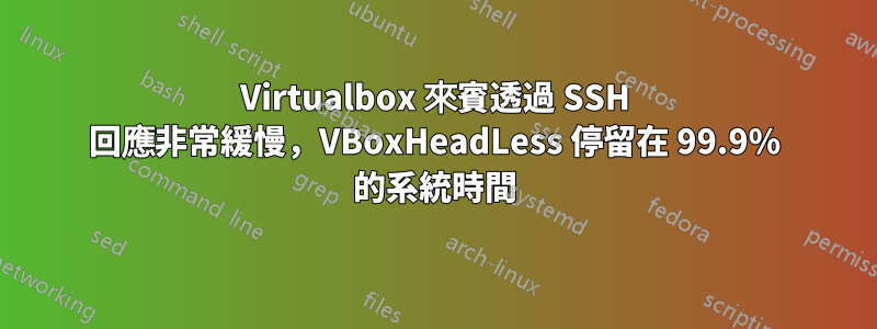 Virtualbox 來賓透過 SSH 回應非常緩慢，VBoxHeadLess 停留在 99.9% 的系統時間