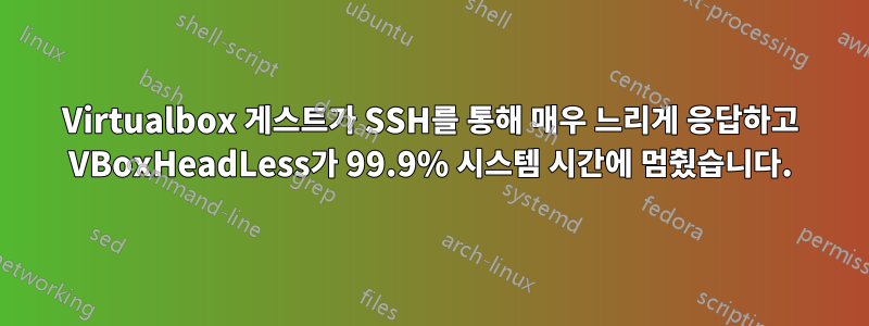 Virtualbox 게스트가 SSH를 통해 매우 느리게 응답하고 VBoxHeadLess가 99.9% 시스템 시간에 멈췄습니다.