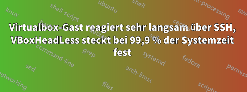 Virtualbox-Gast reagiert sehr langsam über SSH, VBoxHeadLess steckt bei 99,9 % der Systemzeit fest