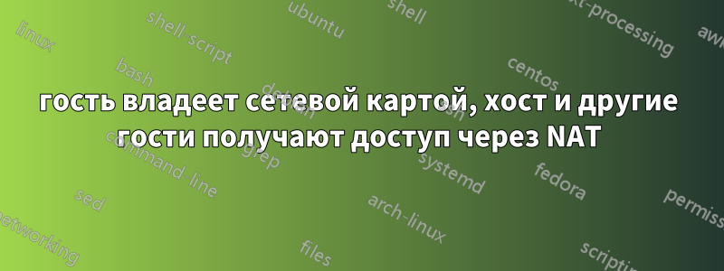 гость владеет сетевой картой, хост и другие гости получают доступ через NAT