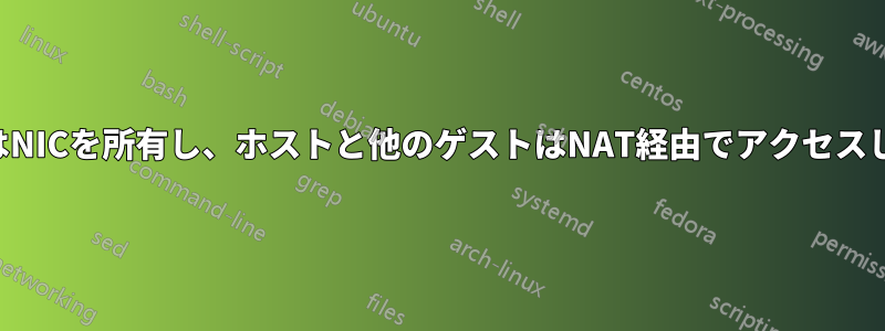 ゲストはNICを所有し、ホストと他のゲストはNAT経由でアクセスします。