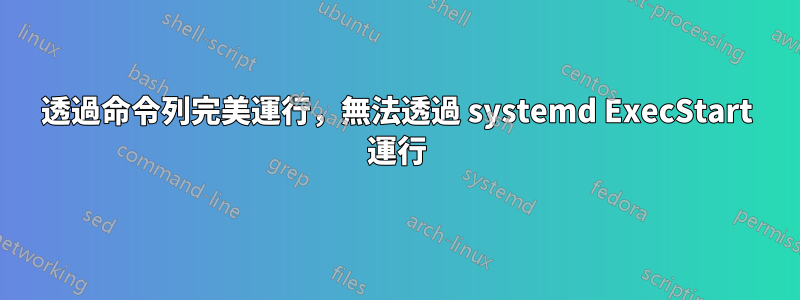 透過命令列完美運行，無法透過 systemd ExecStart 運行