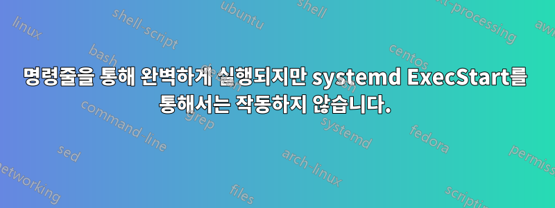 명령줄을 통해 완벽하게 실행되지만 systemd ExecStart를 통해서는 작동하지 않습니다.