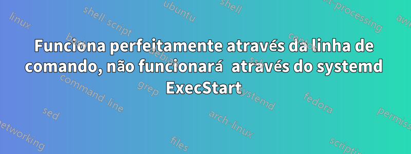 Funciona perfeitamente através da linha de comando, não funcionará através do systemd ExecStart