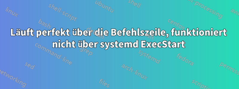 Läuft perfekt über die Befehlszeile, funktioniert nicht über systemd ExecStart