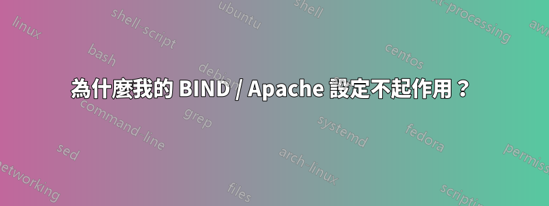 為什麼我的 BIND / Apache 設定不起作用？