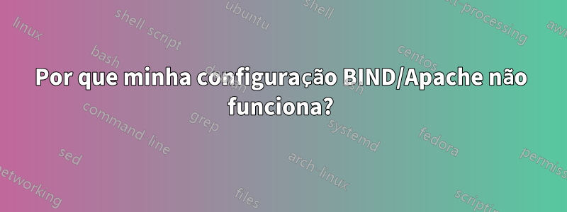 Por que minha configuração BIND/Apache não funciona?