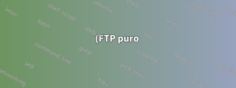(FTP puro) Directorio de inicio de sesión de usuario FTP