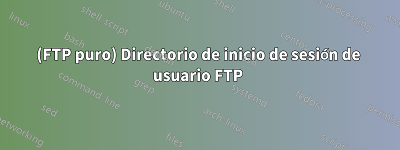 (FTP puro) Directorio de inicio de sesión de usuario FTP