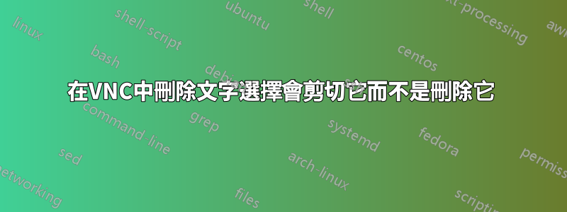 在VNC中刪除文字選擇會剪切它而不是刪除它