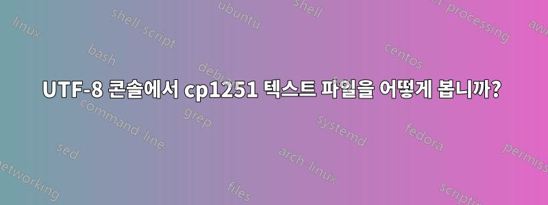 UTF-8 콘솔에서 cp1251 텍스트 파일을 어떻게 봅니까?