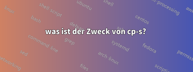 was ist der Zweck von cp-s?