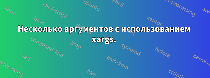 Несколько аргументов с использованием xargs.