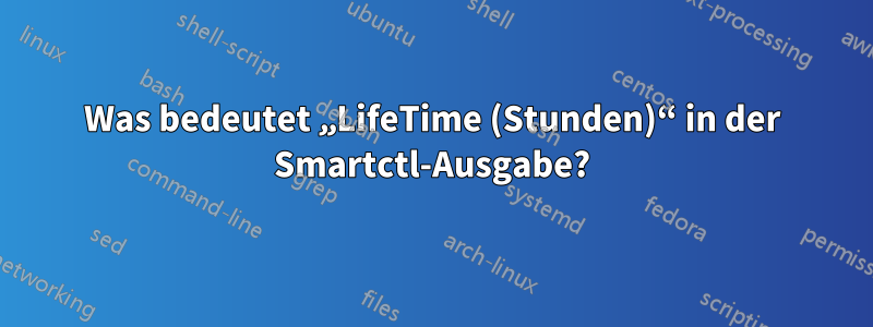 Was bedeutet „LifeTime (Stunden)“ in der Smartctl-Ausgabe?