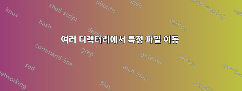 여러 디렉터리에서 특정 파일 이동