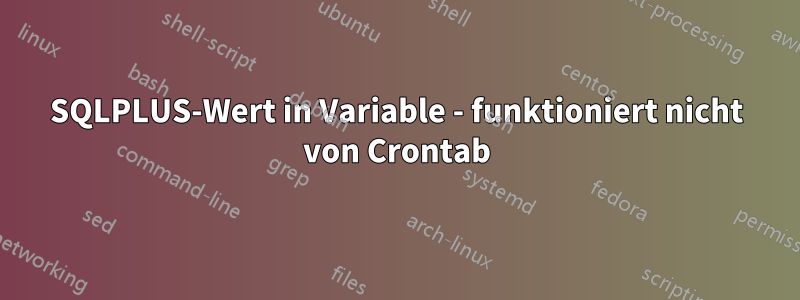 SQLPLUS-Wert in Variable - funktioniert nicht von Crontab