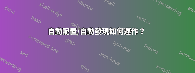 自動配置/自動發現如何運作？