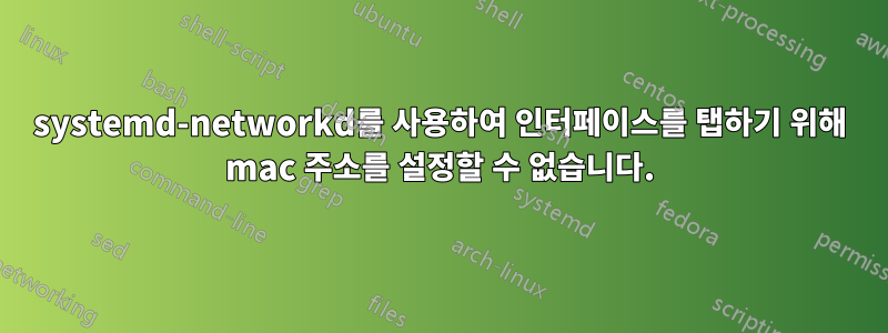 systemd-networkd를 사용하여 인터페이스를 탭하기 위해 mac 주소를 설정할 수 없습니다.