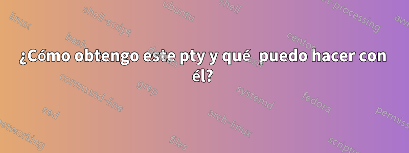 ¿Cómo obtengo este pty y qué puedo hacer con él?