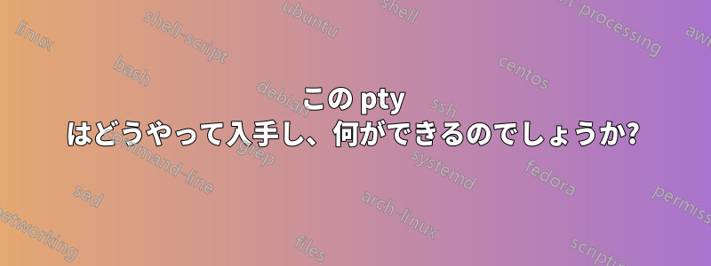 この pty はどうやって入手し、何ができるのでしょうか?