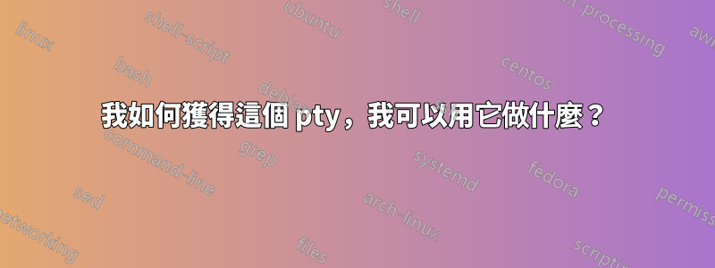 我如何獲得這個 pty，我可以用它做什麼？