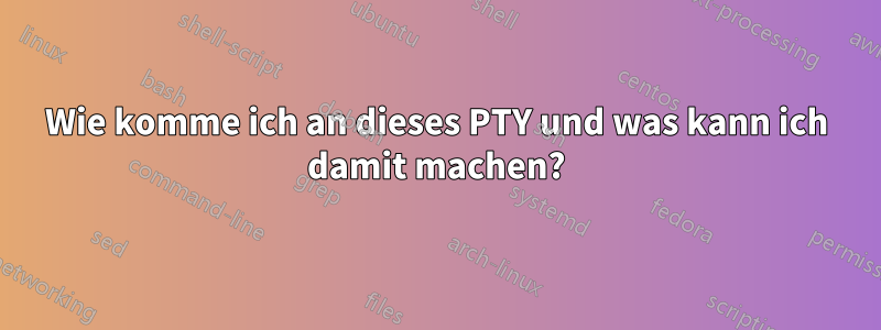 Wie komme ich an dieses PTY und was kann ich damit machen?