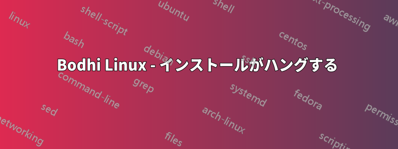 Bodhi Linux - インストールがハングする