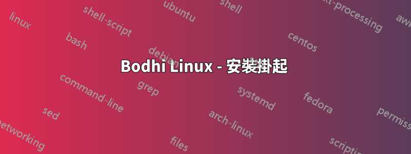 Bodhi Linux - 安裝掛起