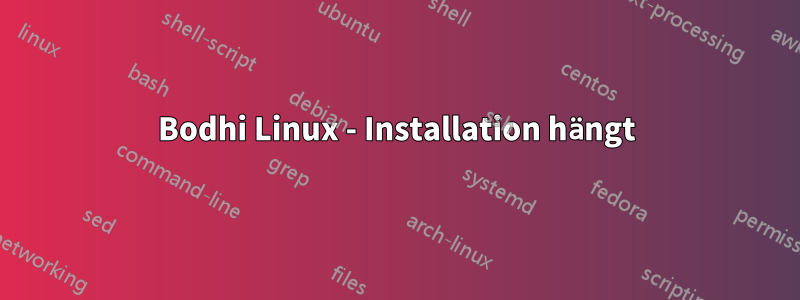 Bodhi Linux - Installation hängt