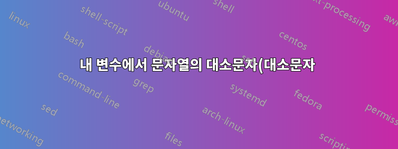 내 변수에서 문자열의 대소문자(대소문자)를 어떻게 변경합니까?