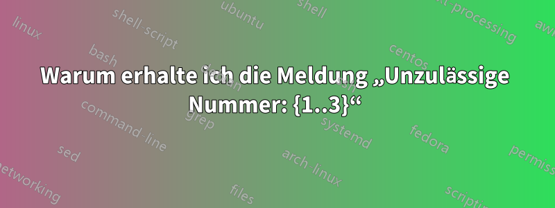 Warum erhalte ich die Meldung „Unzulässige Nummer: {1..3}“