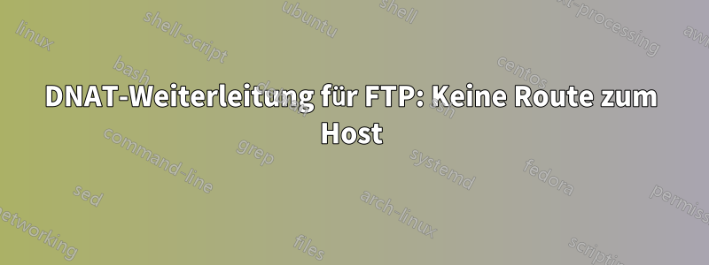 DNAT-Weiterleitung für FTP: Keine Route zum Host