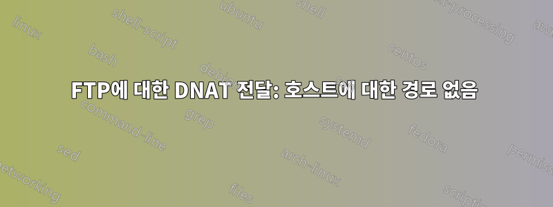 FTP에 대한 DNAT 전달: 호스트에 대한 경로 없음