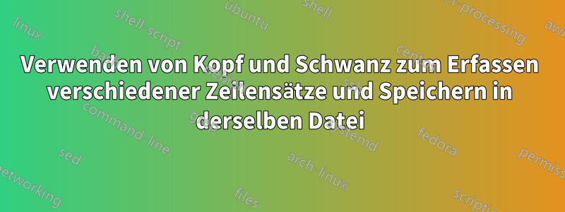 Verwenden von Kopf und Schwanz zum Erfassen verschiedener Zeilensätze und Speichern in derselben Datei