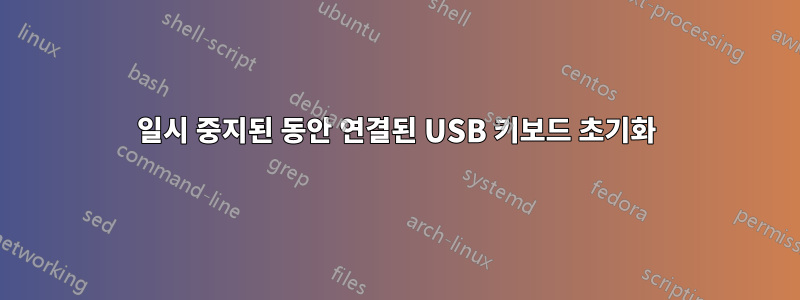 일시 중지된 동안 연결된 USB 키보드 초기화