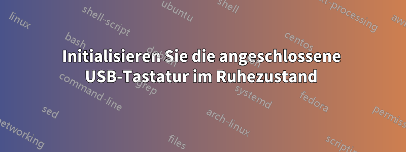 Initialisieren Sie die angeschlossene USB-Tastatur im Ruhezustand