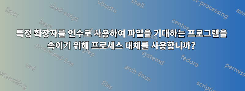 특정 확장자를 인수로 사용하여 파일을 기대하는 프로그램을 속이기 위해 프로세스 대체를 사용합니까?